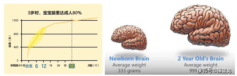 直播记录怎么写_家庭日常记录正在直播_直播日常记录家庭怎么删除